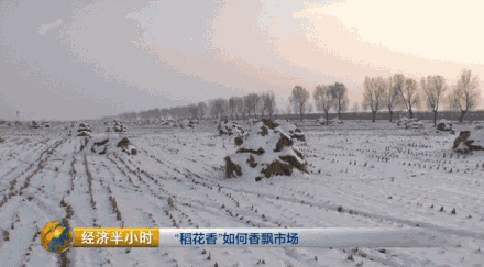 �Nˮ��Ҳ�ܮ�