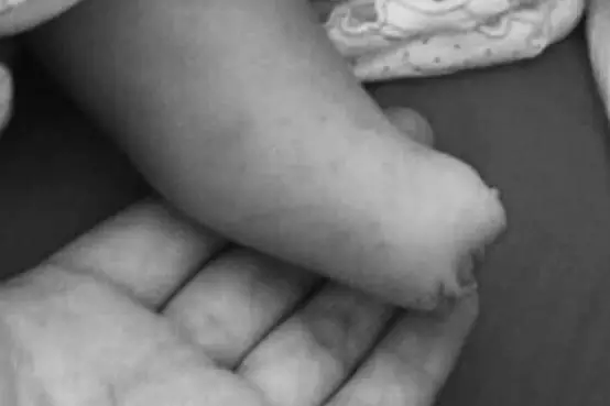 �ЋD��ήa(ch��n)�z�����´�����Ů�� �Ҍ�Ҫ���t(y��)Ժ��(d��n)؟(z��)