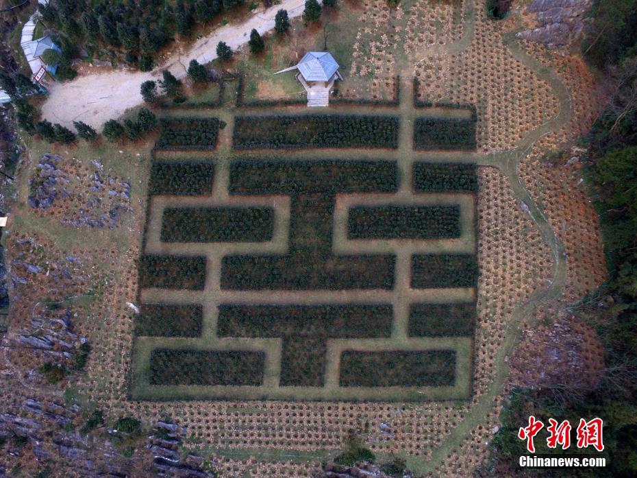 �Ĵ��fԴ���֡�ӭ�´�