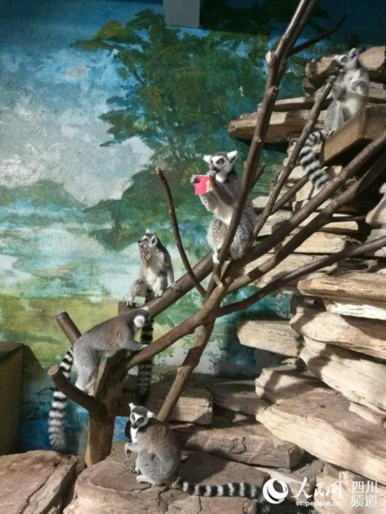 ������ܡ��t�����е���ζʳ�������� �z