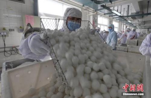 2017��2��8�գ����������T���Ӿo���aԪ����Ԫ�����ֺY������������ӛ�� ��ɼ� �z