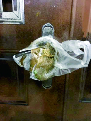 ����Ůʿ���T�i���¡�