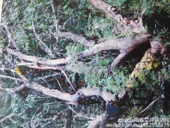 ���I��͵�\�ļt��ɼ