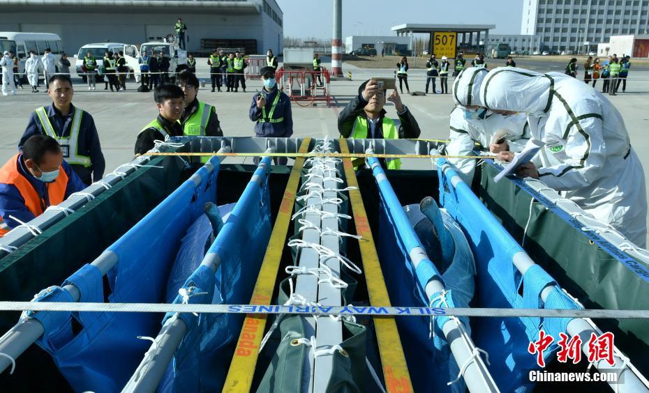 �ӱ��״Ό��C���\�����뾳