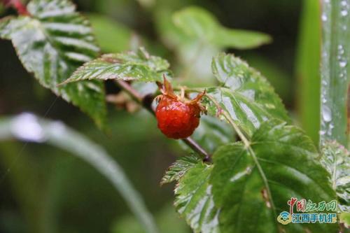 ��������{Ľ�����F�@���V�� ȫ���Wý������ӛ��ٝ�����ˡ�