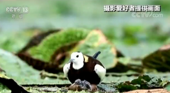 �zӰ��(��i)����ӛ�ˮ�������^(gu��)��