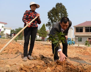 (�W�jý�w���D��) �����R������æ