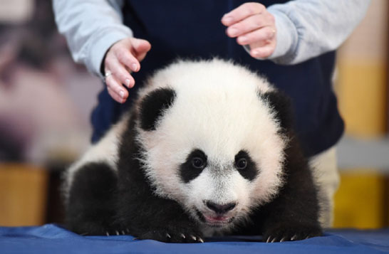 ��؈��ؐؐ�������Ե������˹��@�����Lꠣ��D��