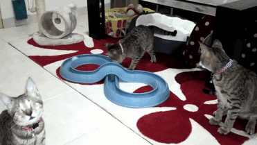 �DƬĬ�J���}