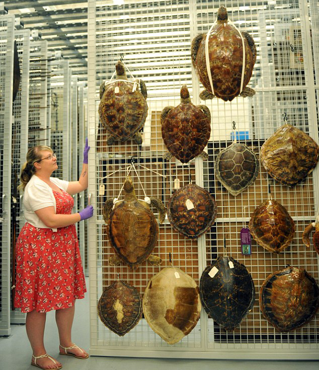 Ӣ�����^չ��������˽Ʒ ּ�ڱ��o����