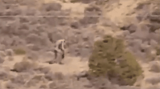 ��Ѫ���֫F�٬F?������ɳĮ�F���ι֫F ����һ������