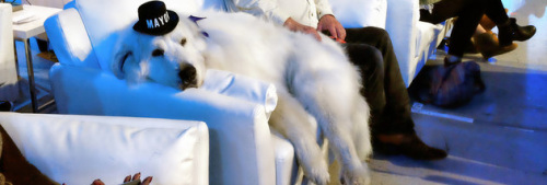 ��������L��������С��x��۴�3�ȳɹ����x