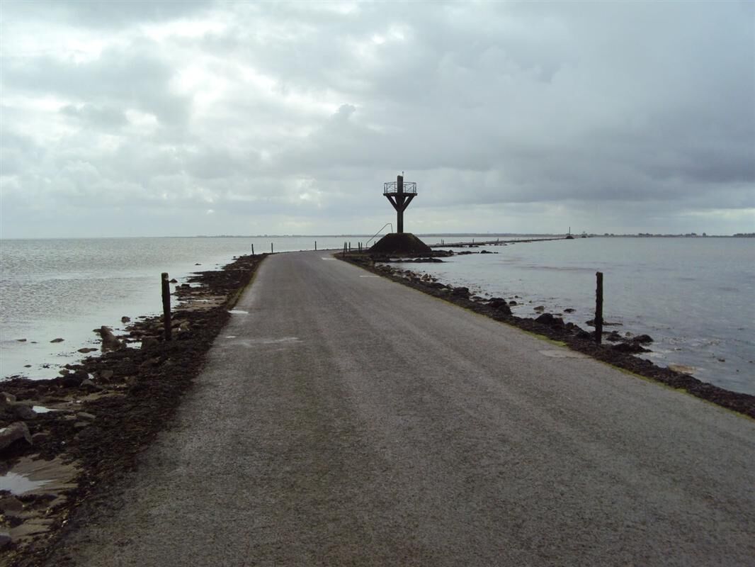 �����Зl���Թ�· һ��ֻ��¶�ɴ�Ę