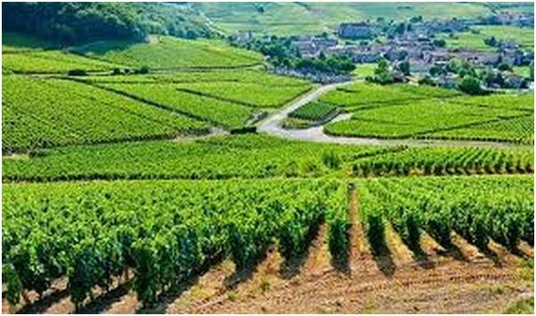 ����(gu��)���޵����ш@�l��͵�`  �r(n��ng)��M��Ѳ߉�(du��)ҹ�g���o(h��)