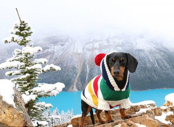 ��(j��)Ӣ��(gu��)��ÿ���]��(b��o)����(b��o)�������ô�7�q���D�cȮ�������ǂ�(g��)�W(w��ng)�t�����ڡ�Ę�V�����ѾW(w��ng)վ����140�f(w��n)���۽z��