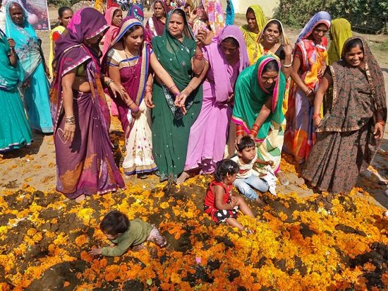 ӡ�ȹ�(ji��)��������y(t��ng)��׌����մţ�S����\���D��