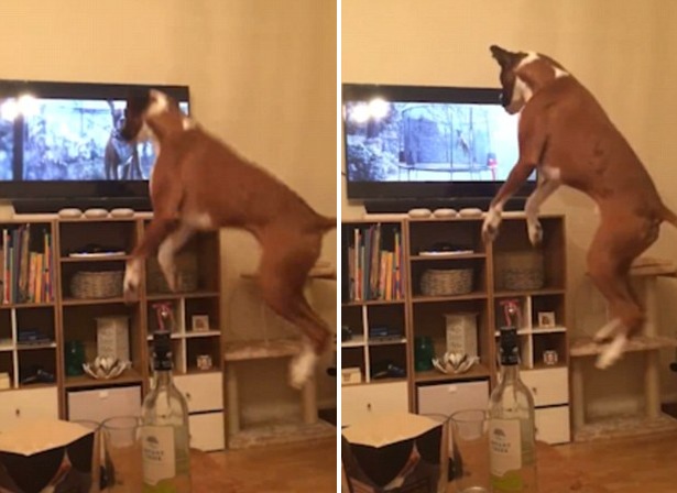 ���ذ�؛�̵�ʥ�Q�V�����t����w�ٹ������^