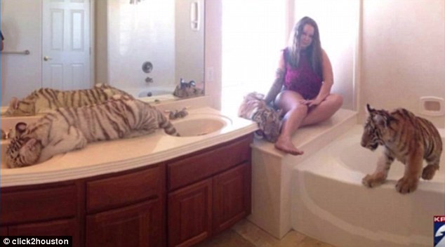 ���Ů����Σ������ĸ�H�ڼ���ɢ�B(y��ng)�{���ϻ�