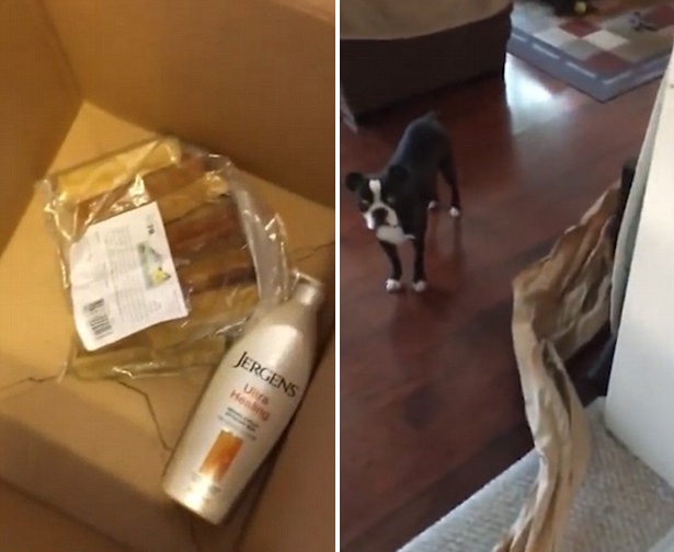 ������Wُ���f���а��b�����L�_21��