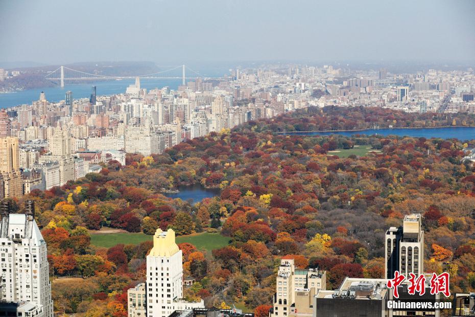 ����(gu��)�~�s���빫�@���ֱMȾ��ɫ