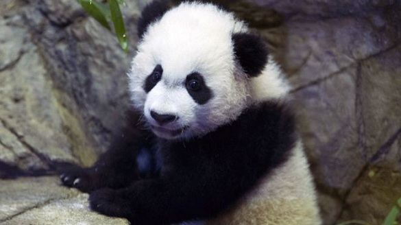 �Y�ψD:��������؈��ؐؐ��