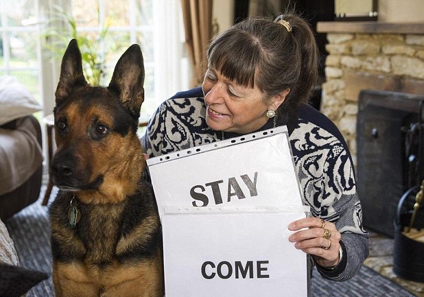 Ӣ���˹�׃��ȫ�ܹ� ��یW���� ����