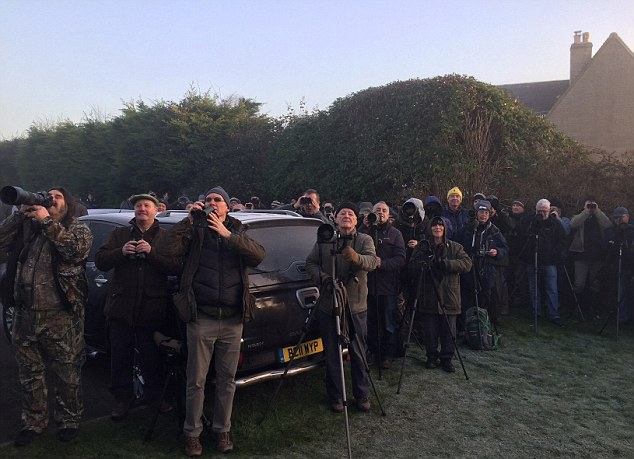 Ӣ��(gu��)С��F(xi��n)��Ҋ�B����(sh��)���˼����C(j��)�Ĕz