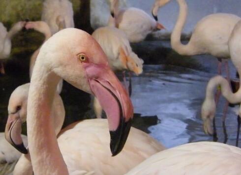 �o��ꡰ���������q��򡱺��o���w�� ֻ�����п���