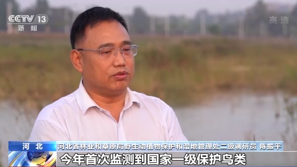 ������B��ح�҇����B�h�����m���� �������B�v�㡰���͡�