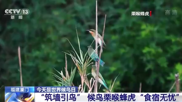 ������B��ح�҇����B�h�����m���� �������B�v�㡰���͡�