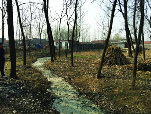 �����Ո��u��486���_���f��ʿ��ǻ�Ұ67�d��