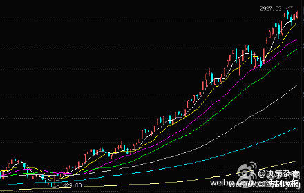 ��ˏ�����������P�� ���P��Ƀr����