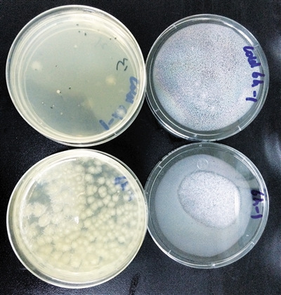 ��ؗl����Ʒ(��)��������Ʒ(��)�о��係���������@��