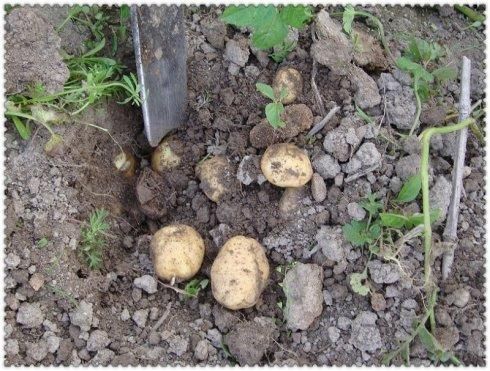   ����͵����