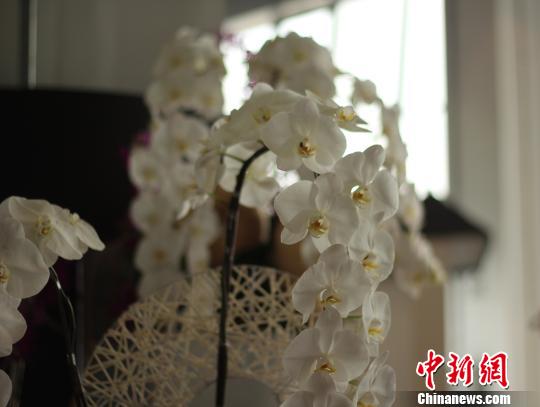 �������ɰ��m�������xӳ�_���y�F����ꑌ������