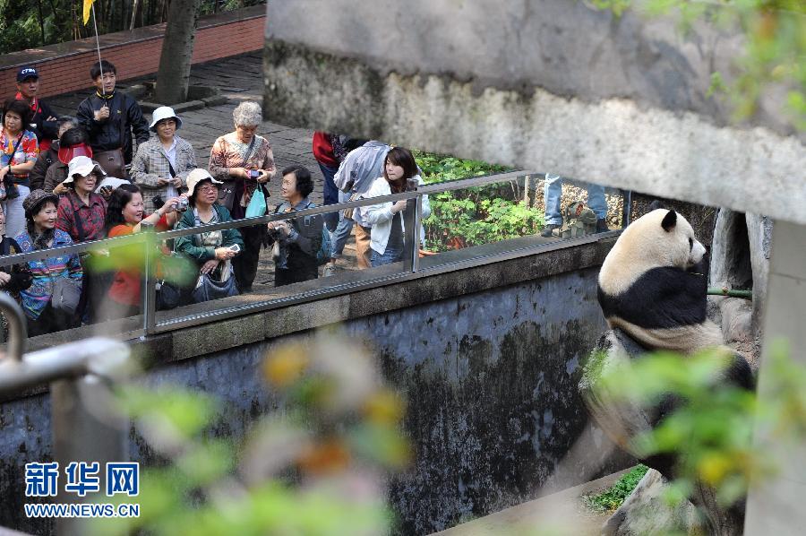 (����)(7)�ɰ�����ͨ�������g