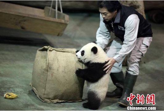 ����؈�ְ֡�������̽�����A�С����D��