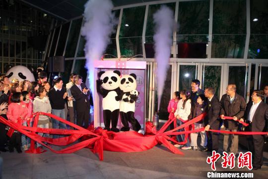 ���A�С��ж���������؈���ҳ�ϯ���D��