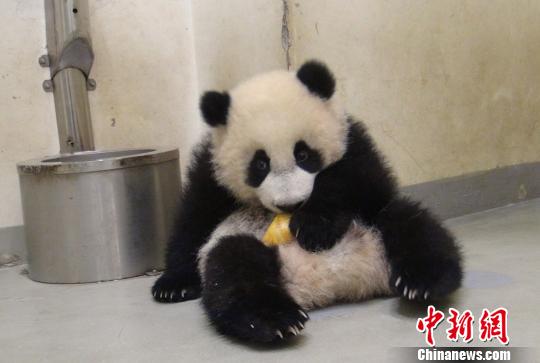 ���A�С��_�ŵ�����@���l������S�ա����D��