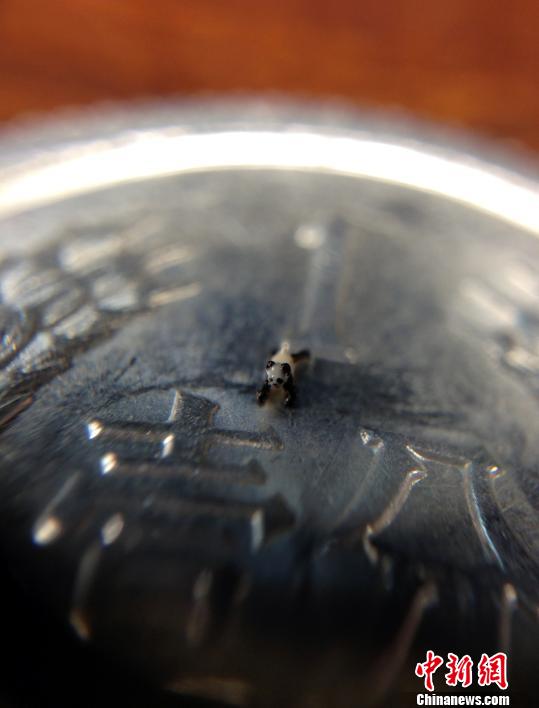 �_(t��i)΢���ꐷ��@��΢����؈�A�к͕�(sh��)��ͦ�A�У��D��