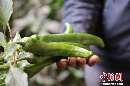 �_(t��i)ý���߽z�I֮·��֪�����Ļ��ڴ���(j��ng)��(j��)����