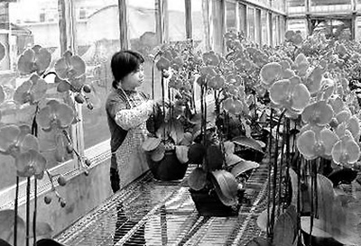 �}�r(n��ng)�I(y��)�����_�Y�Ӵ����λ