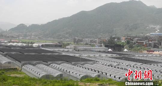 �F�����l(xi��ng)���޽ӡ��_(t��i)���^���r(n��ng)�I(y��)��Ѿ�