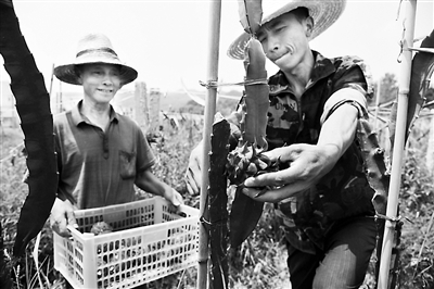 �_��ˮ���������