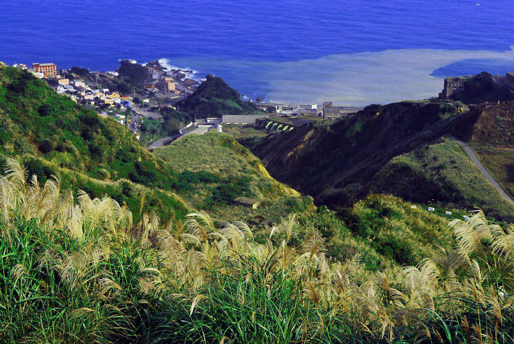 APECС�L�� ����f�߾��ߵ��_��������