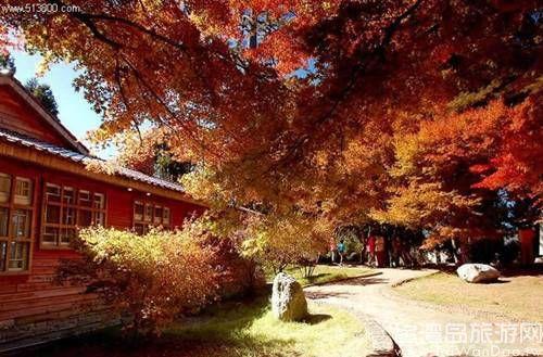 APECС�L�� ����f�߾��ߵ��_��������