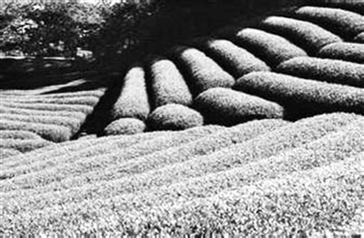 �_��ϱ�D����� �����Ϙs���r�I(�D)