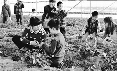 �_��ϱ�D����� �����Ϙs���r�I(�D)