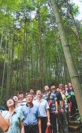 �v�ú��{ý�w������ʻ��