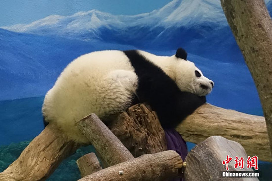 �_�����棺����؈ǧ�𡰈A�С��_ʼ��������